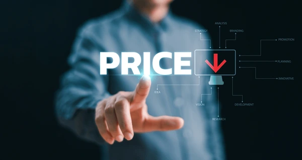 The Hidden Costs of a $500 Website